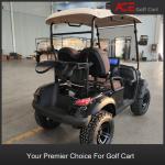 2 Seater Electric Golf Cart With 12inch Wheels Lithium Battery