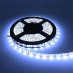 RGB Strip Light With Remote 12V No UV/IR High CRI 95-99 No Flicker IP65