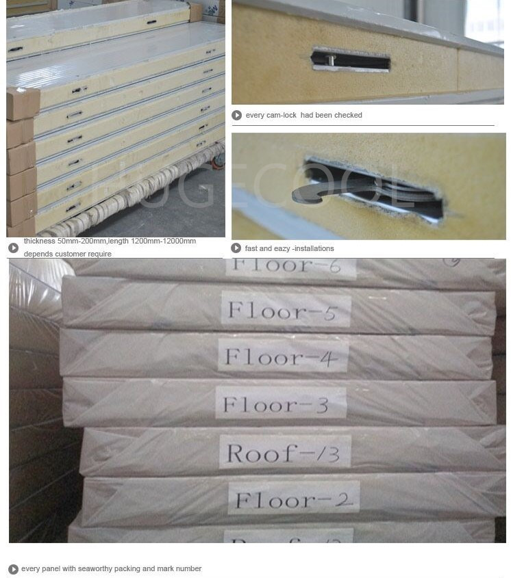 Freezer Cold Room For Frozen Fish Storage