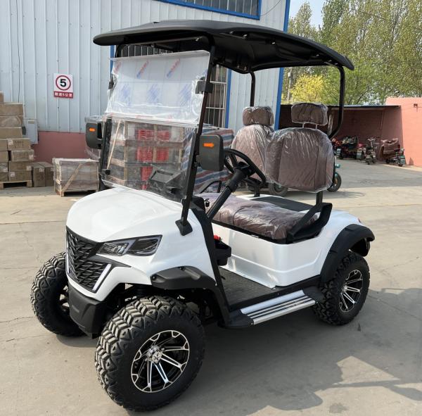 2 Seater Electric Golf Cart Optional Lithium Battery Mini Durable Electric Golf