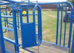 UK Standard complied Cattle Crush