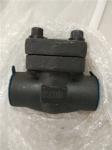Forged Steel Swing Check Valve 1" 800LB