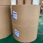 Eco-friendly PE Coated Kraft Paper Used For Disposable Beverages 300gsm