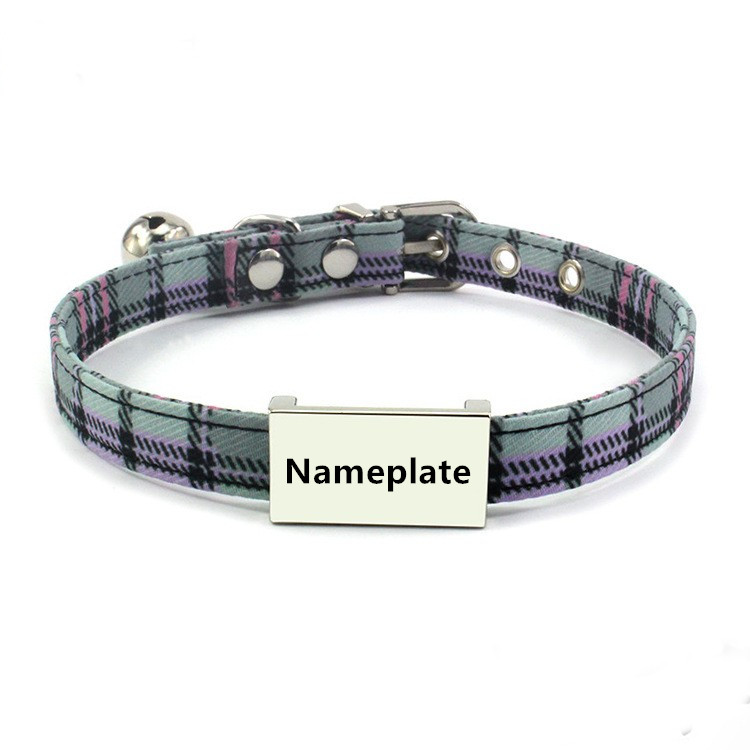 dog collar with name plate