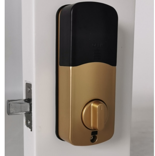 Semiconductor Fingerprint Electric Smart Lock Multi Function