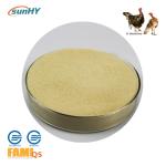 Compound Animal Feed Enzymes Fine Granule Enzymes For Turkey