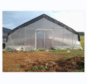 Wholesale 150/200micro Film Covered Tunnel Greenhouse For Hydroponic Tomato Growing from china suppliers