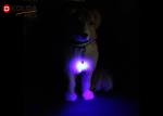 Metal Lead Cat Pet Dog LED Light Collar Tag Safety Flasher Blinker Keychain