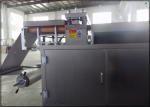 Pharmaceutical Small Alu Alu Blister Packing Machine GMP Standard