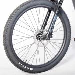 OEM Carbon Fiber MTB 29inch Electric Mountain Bike with 1000W Power and DPC-18