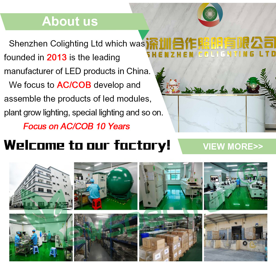 Full Power 150W LED Grow Light Led Phyto Lamp For Greenhouse Plants