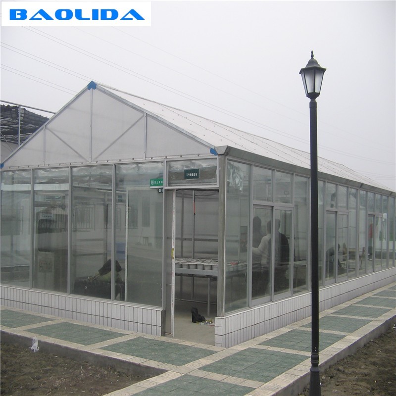 Garden Greenhouse Tent / PC Sheet Greenhouse Metal Structure Effective