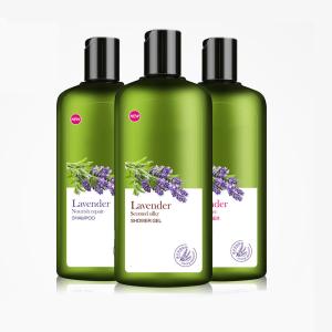 Wholesale Balance Greasy Lavender Essential Oil Shampoo In - Depth Moisturizing Hair from china suppliers