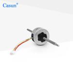 1.1A Micro Stepper Motor SM25-110 For Automotive Instrumentation Casun Dc Motors
