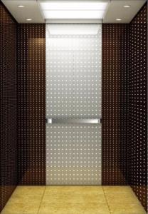 Wholesale MRL Machine Room Less Hydraulic Elevator Lift 800KG 10 Person from china suppliers