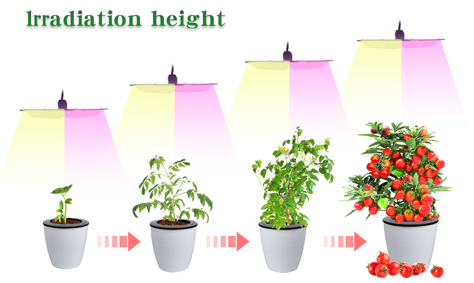 Energy Saving Full Spectrum Led Grow Lights Board 50W Voltage 110V