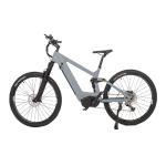 APT 860C Color Display 48V Mountain Fatbike Electric Motorcycles for Adult by