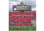 High Definition PH20 Stadium Sport LED Full Color Display for Outdoor , DVI /