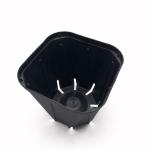 Black Plastic Square Pot For Succulent Orchid Cactus Plant