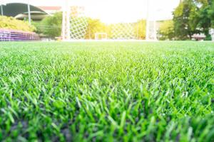 Wholesale Anti Ultraviolet Artificial Grass Sports Flooring 30mm Garden Landscape Lawn from china suppliers