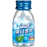 OEM Available Super Cool Mint Candy Vitamin C Sugar Free Mints Packed In 20g