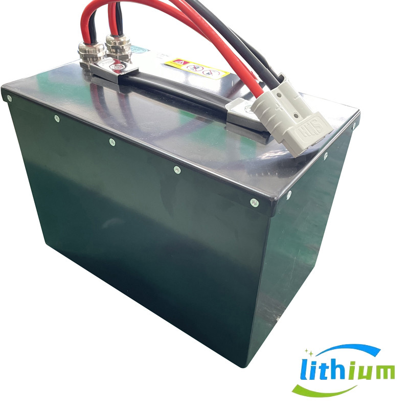 LiFePO4 Lithium Battery With BMS Battery Managemenr System 24V 60ah