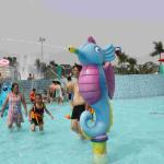 Kids Spray Park Equipment Fiberglass Water Games Spray Cartoon Hippocampus for