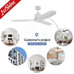 220V 5 Speeds Remote Control Nature Wood Blade Ceiling Fan for Indoor by