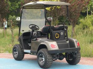 Wholesale 2 Person Golf Cart Buggy 25-40Mph Electric Power Lithium Battery Low Price from china suppliers