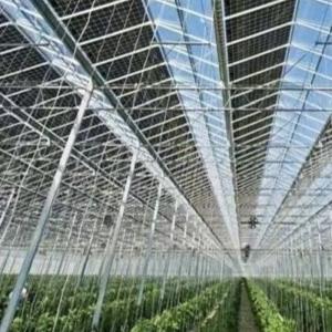 Wholesale US Hot DIP Galvanized Steel Multi Span Glass Greenhouse 50.00cm * 60.00cm * 80.00cm from china suppliers