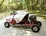 Mechanical Chain Transmission 20mph 40cc Youth Go Karts