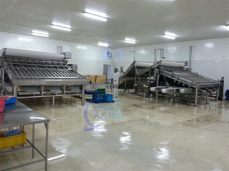 Anti Erosion Shrimp Grading Machine Oilproof Stable 1500KG Weight
