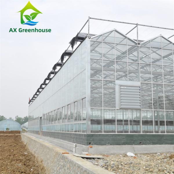 12m Width Agricultural Glass Greenhouse Residential Hydroponic Strawberry