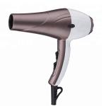 2200W AC Motor Gorgeous Hair Dryer , Fast Drying Blow Dryer For Professional