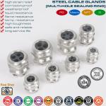 IP68 Brass Multi-Hole Cable Glands, 304/316 Stainless Cable Glands PG & Metric c