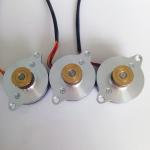 Bldc Brushless Permanent Magnet Dc Motor Customized 24v 25nm 1000w