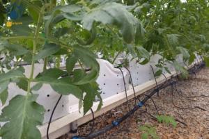 Wholesale Vertical Planting PVC Substrate Grow Gutter Hydroponic Pepper Tomato Plant Trough from china suppliers
