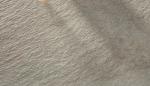 Light Grey Glazed Porcelain Tile , Sandstone Ceramic Tile 300x600 / 300x300 Mm