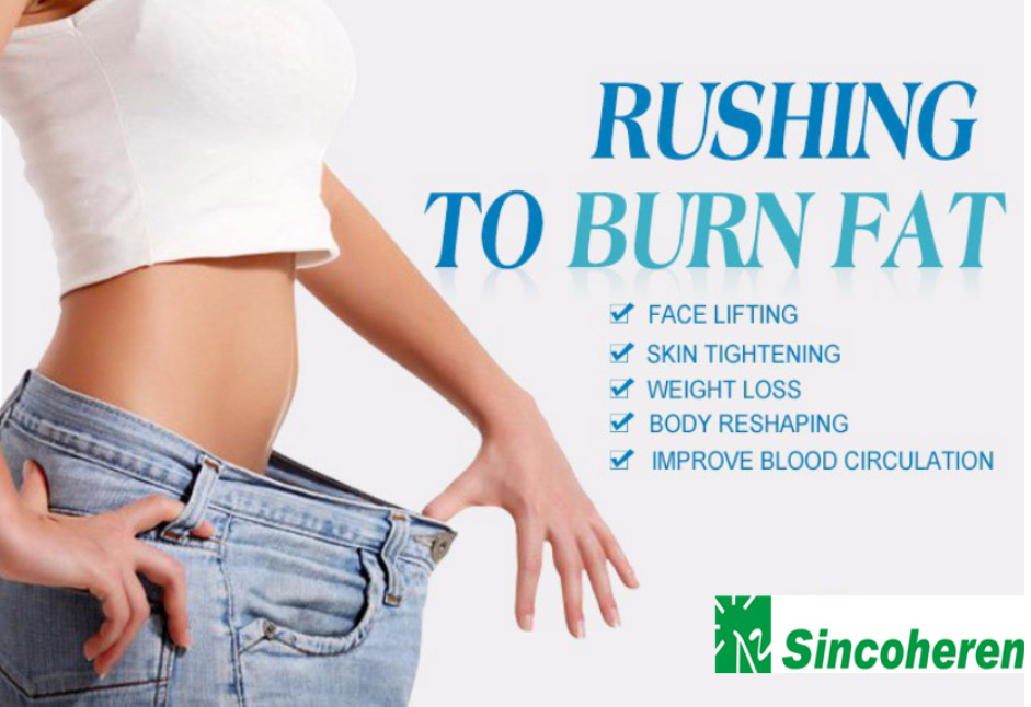 Tabletop Lipo Weight Loss Machine , Diode Lipolysis Laser Machine