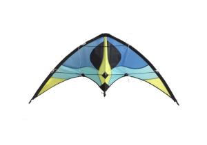 Wholesale 160*80cm Dual Line Delta Sport Kite For Autumn Season from china suppliers