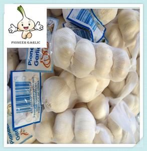 Wholesale Chinese Fresh Normal white garlic Top Grade Garlic Wholesale Price from china suppliers