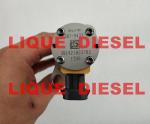 CAT / Caterpiller Fuel Injector 387-9433 557-7633 , 3879433 , 5577633 For Engine