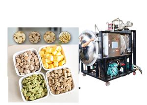 Wholesale Bitzer Vacuum Industrial Scale Freeze Dryer 300Kg from china suppliers