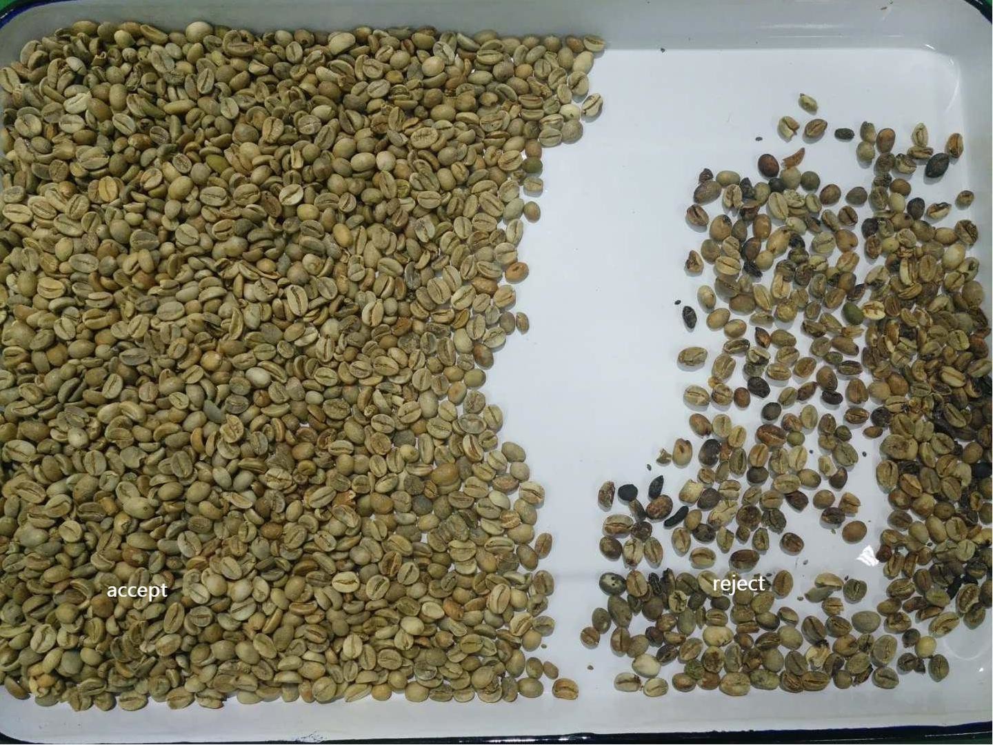 Kidney Cocoa Bean Color Sorter Machine With 400 Pixel CCD