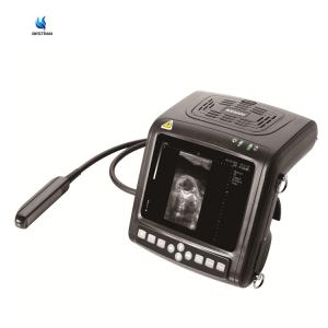 Wholesale Big Animal Veterinary Ultrasound Scanner Diagnostic Imaging System For Cow Horse Donkey from china suppliers