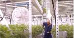 400 Watt 390nm Horticulture LED Grow Lights For Seeding