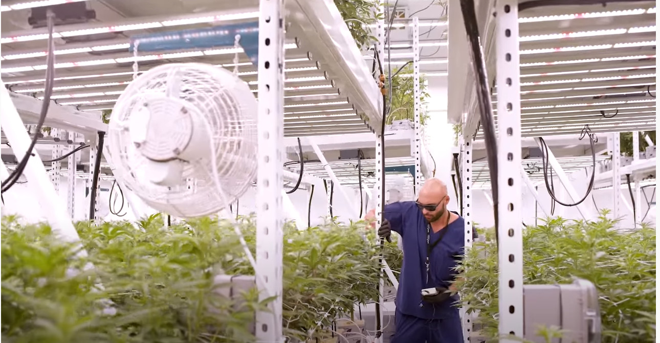 Vertical Grow Systems 670W 3000K Horticulture Led Lights