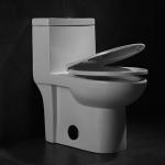 American Standard Cosette Dual Flush Elongated One Piece Toilet In White 1.28