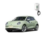 Torsion Beam Non-Independent Suspension Ora Haomao Five Door Five Seat Energy