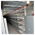 Hot Dip Galvanize Steel H Type Poultry Farm Equipment Battery Layer Automatic